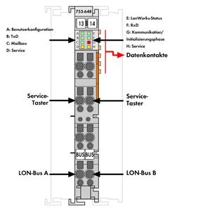 Image Description for https://tedi24.pro/itcmedia/images/20190307/753-648_WAGO_2.jpg
