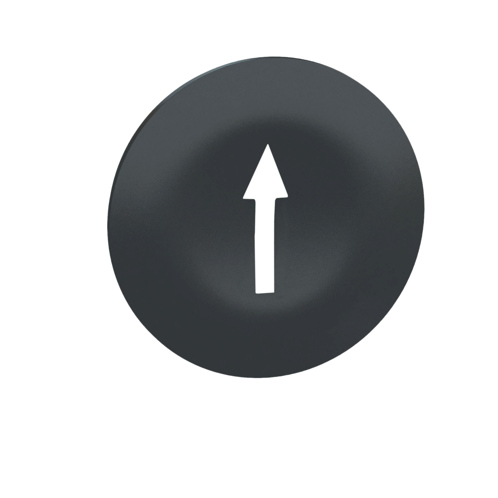 Image Description for https://tedi24.pro/itcmedia/images/20190424/ZBA7235_SCHNEIDERELECTRIC_1.jpeg