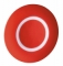 Image Description for https://tedi24.pro/itcmedia/images/20190424/ZBA7432_SCHNEIDERELECTRIC_8.jpg