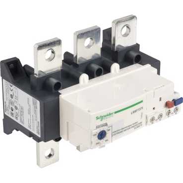 https://tedi24.pro/itcmedia/images/20190425/LR9F7375_SCHNEIDERELECTRIC_6.jpg Image Description for https://tedi24.pro/itcmedia/images/20190425/LR9F7375_SCHNEIDERELECTRIC_6.jpg