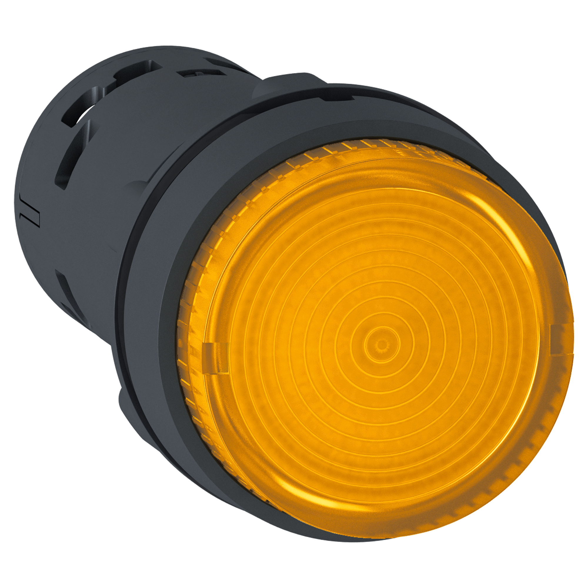 https://tedi24.pro/itcmedia/images/20190425/XB7NW35M1_SCHNEIDERELECTRIC_1.jpeg Image Description for https://tedi24.pro/itcmedia/images/20190425/XB7NW35M1_SCHNEIDERELECTRIC_1.jpeg