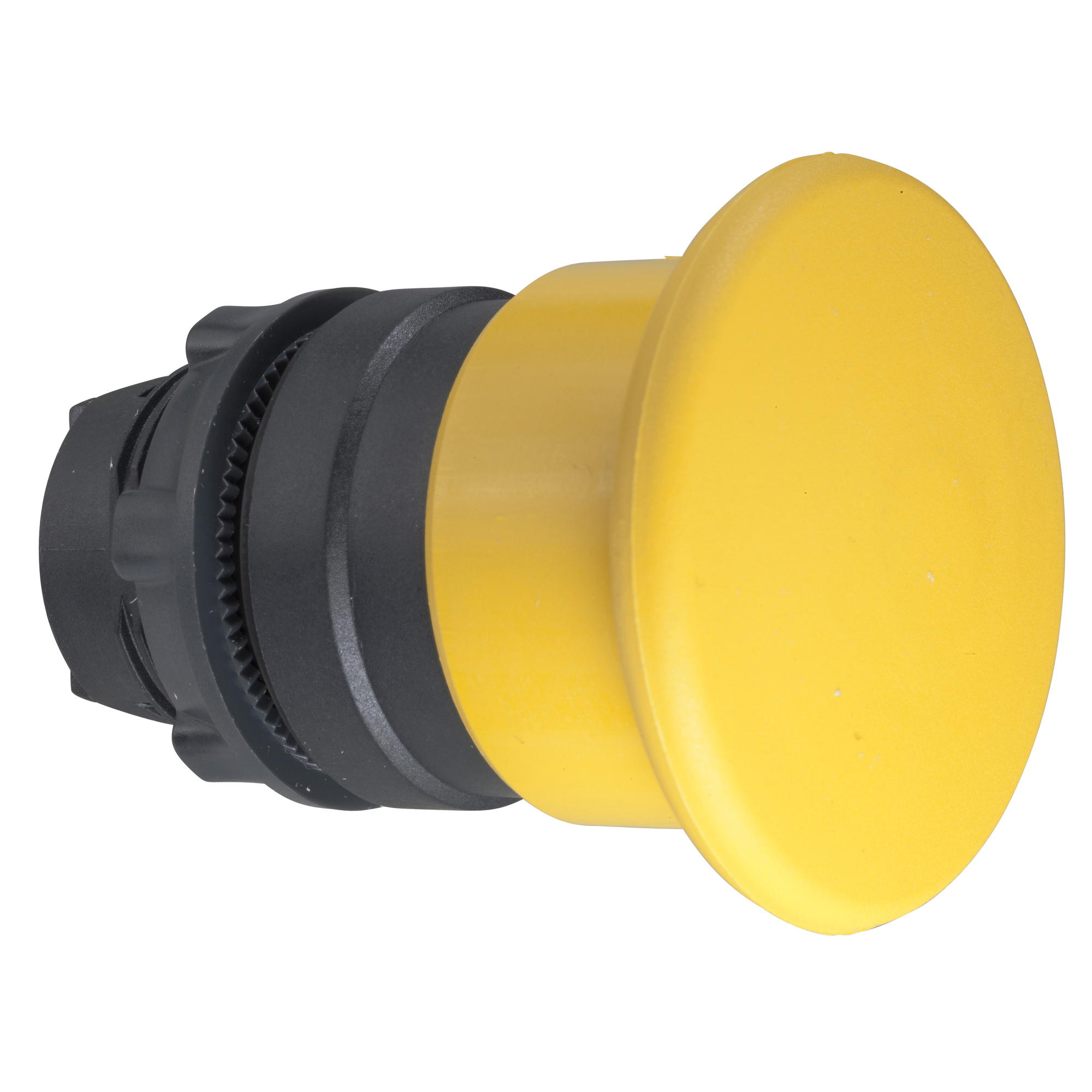Image Description for https://tedi24.pro/itcmedia/images/20190425/ZB5AC5_SCHNEIDERELECTRIC_1.jpeg