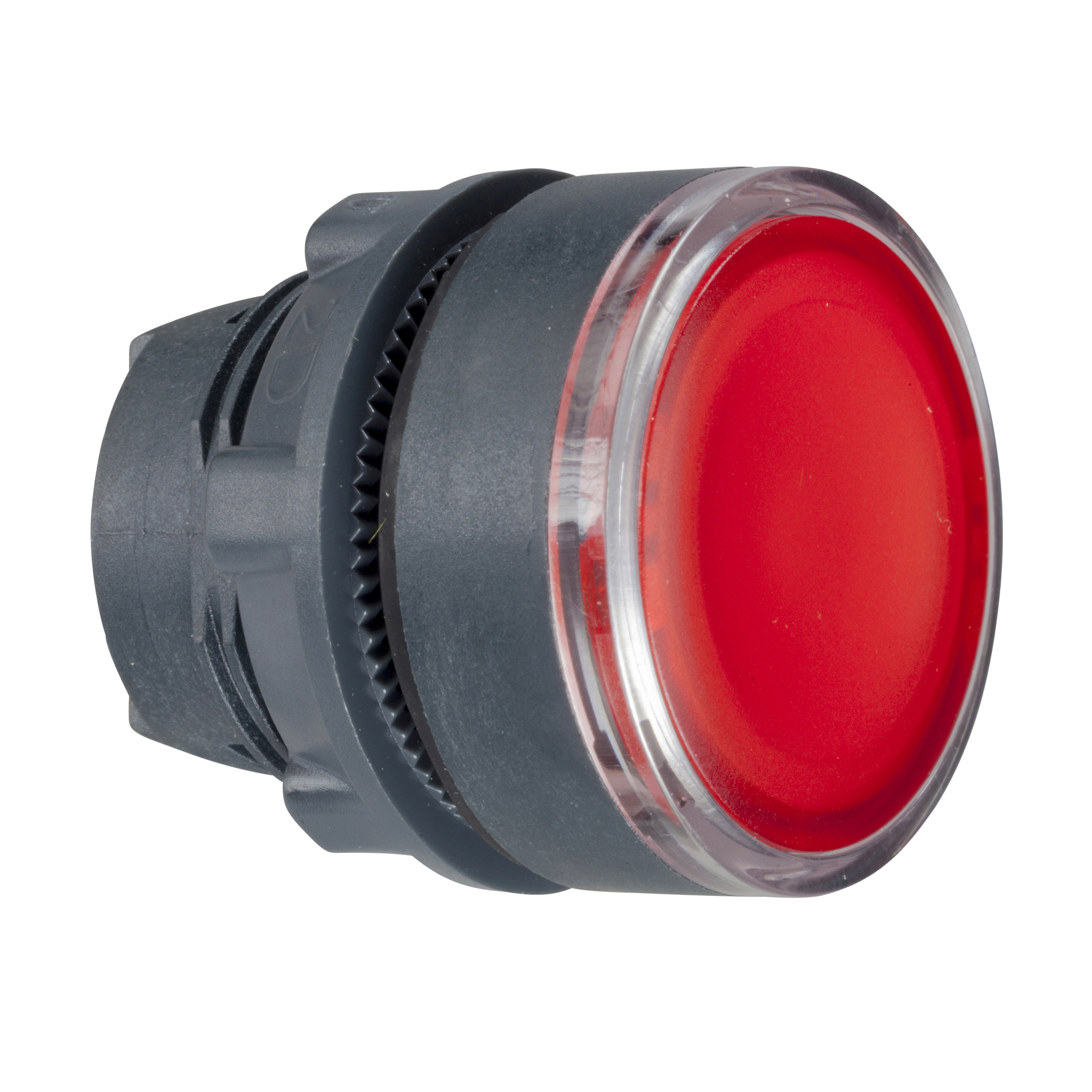 Image Description for https://tedi24.pro/itcmedia/images/20190425/ZB5AH043_SCHNEIDERELECTRIC_1.jpeg