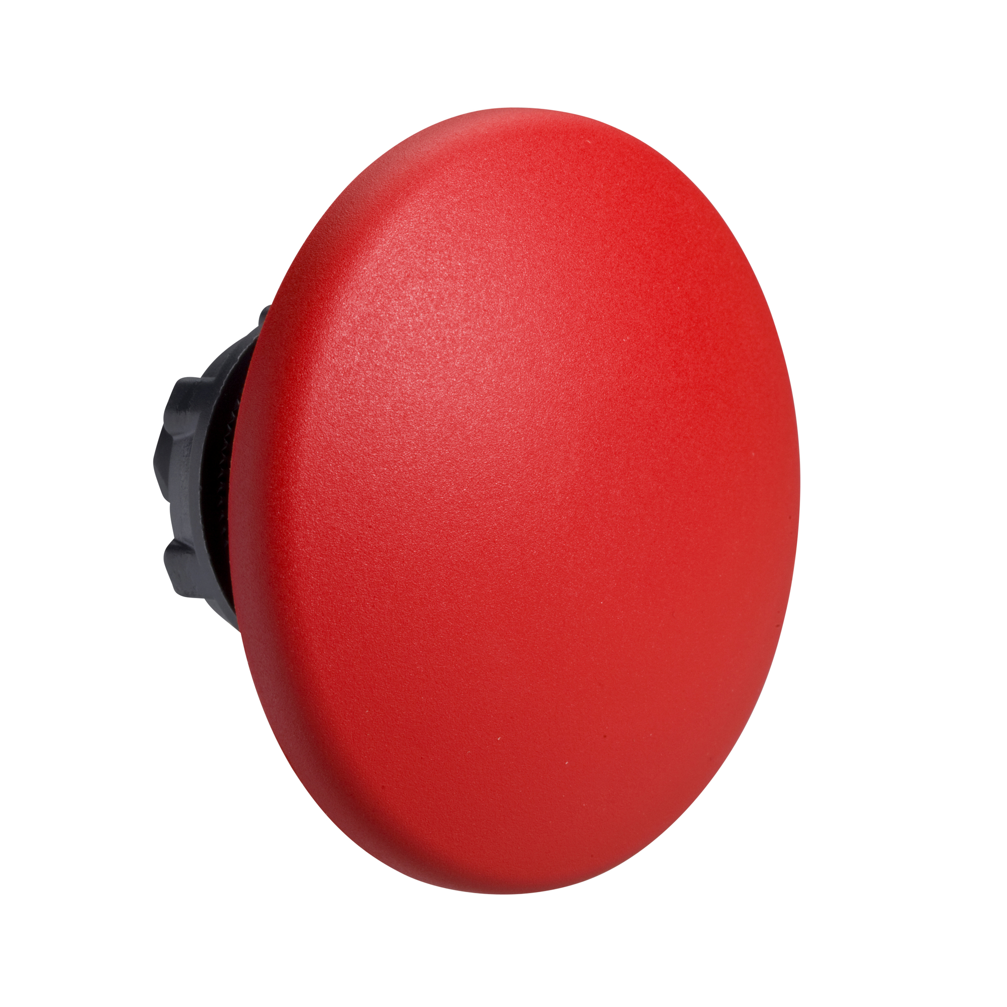 Image Description for https://tedi24.pro/itcmedia/images/20190425/ZB5AR416_SCHNEIDERELECTRIC_1.jpeg