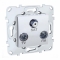 https://tedi24.pro/itcmedia/images/20190426/ALB45329_SCHNEIDERELECTRIC_7.jpg Image Description for https://tedi24.pro/itcmedia/images/20190426/ALB45329_SCHNEIDERELECTRIC_7.jpg