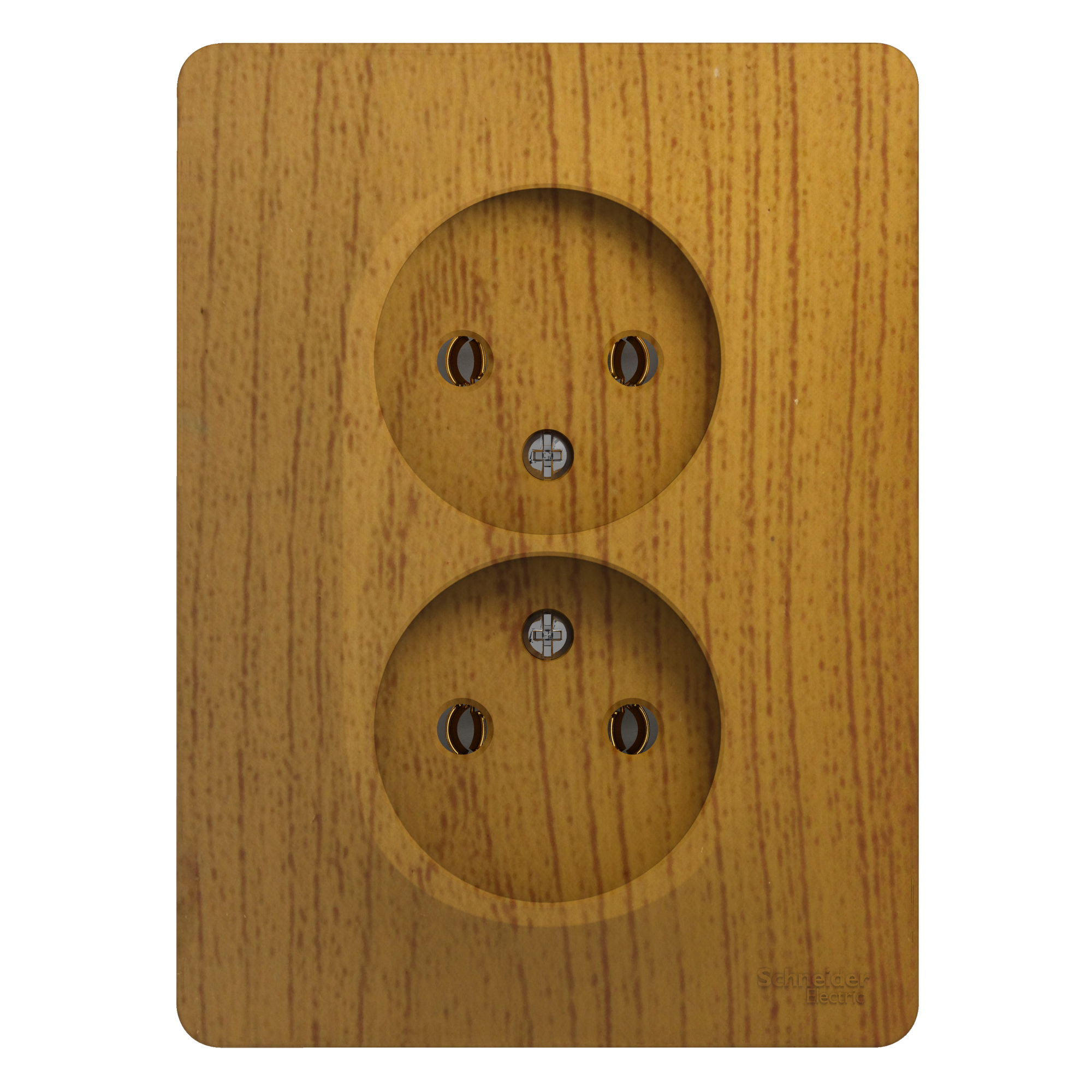 Image Description for https://tedi24.pro/itcmedia/images/20190426/GSL000520_SCHNEIDERELECTRIC_1.jpeg