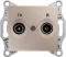 https://tedi24.pro/itcmedia/images/20190426/SDN3301368_SCHNEIDERELECTRIC_6.jpg Image Description for https://tedi24.pro/itcmedia/images/20190426/SDN3301368_SCHNEIDERELECTRIC_6.jpg